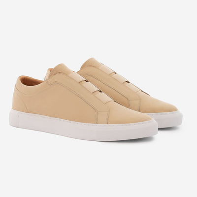 Calder sneakers