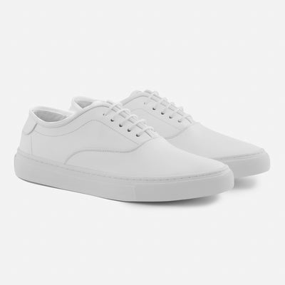 Conti sneakers