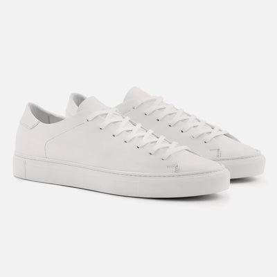 Reid sneakers
